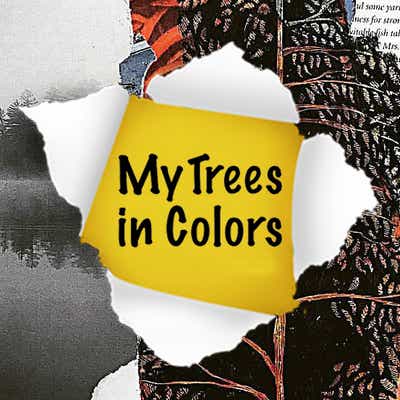My Trees in Colors